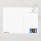 Hawkeyes Briefkaart (Achterkant)