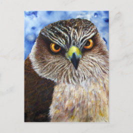 Hawkeyes Briefkaart