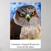 Hawkeyes Poster (Voorkant)