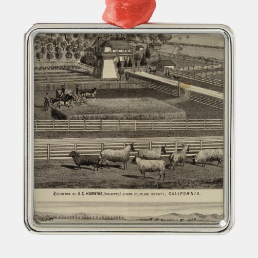 Hawkins, Mayes residences Metalen Ornament (Voorkant)