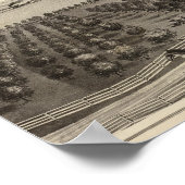 Hawkins, Mayes residences Poster (Hoek)