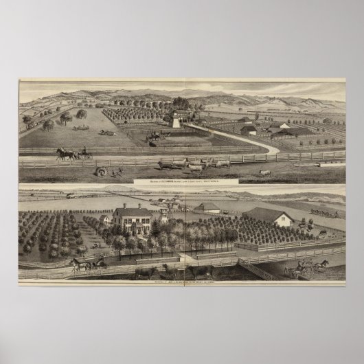 Hawkins, Mayes residences Poster (Voorkant)