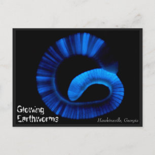 Hawkinsville Georgia Briefkaart VS