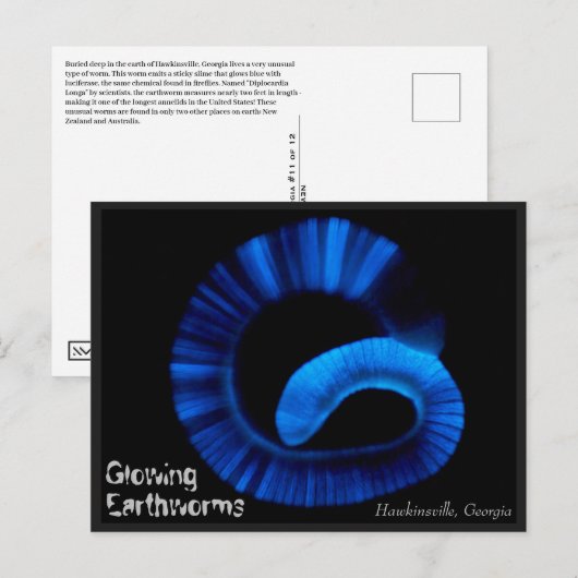 Hawkinsville Georgia Briefkaart VS (Voorkant / Achterkant)