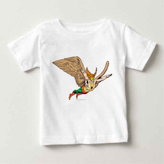 Hawkman Flies (Voorkant)