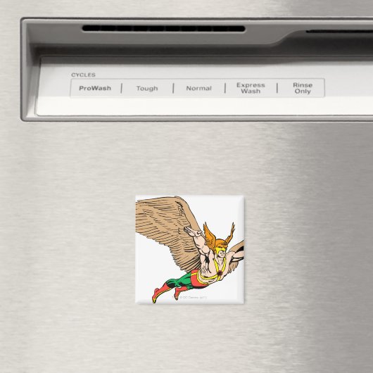 Hawkman Flies Magneet (Insitu (Vaatwasser))