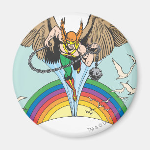 Hawkman Flies Thru Sky Magneet