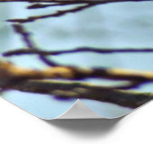 Hawks Eye Poster (Hoek)