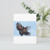 Hawks Fight for Control of the Sky Briefkaart (Staand voorkant)