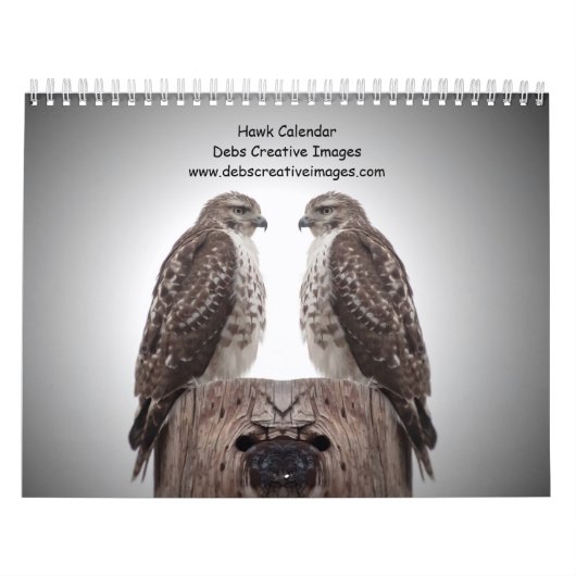Hawks in het wild 2026 kalender (Hoes)