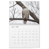 Hawks in het wild 2026 kalender (Mar 2027)
