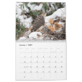 Hawks in het wild 2026 kalender (Jan 2027)