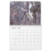 Hawks in het wild 2026 kalender (Feb 2027)