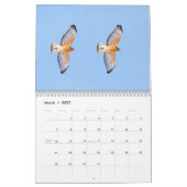 Hawks in het wild 2026 kalender (Mar 2027)