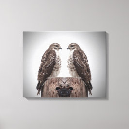 Hawks op een post canvas afdruk