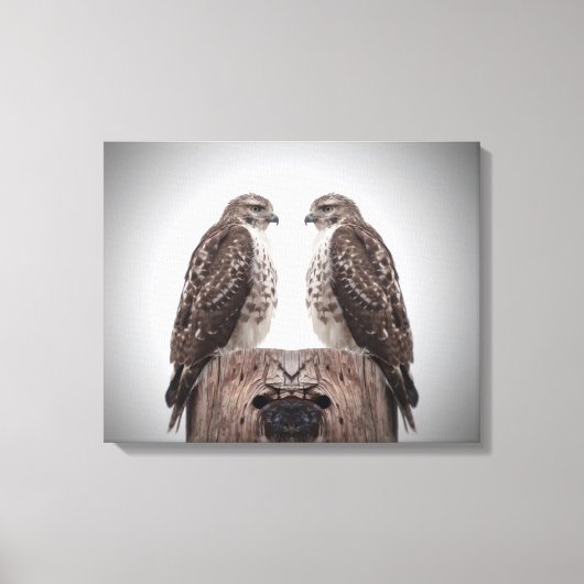 Hawks op een post canvas afdruk (Voorkant)