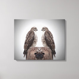 Hawks op een post canvas afdruk