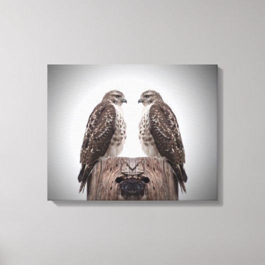 Hawks op een post canvas afdruk (Voorkant)