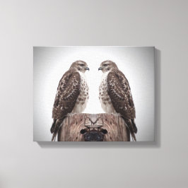 Hawks op een post canvas afdruk