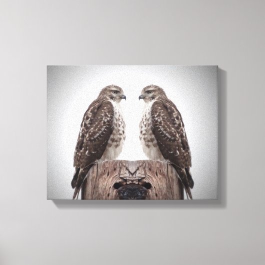Hawks op een post canvas afdruk (Voorkant)