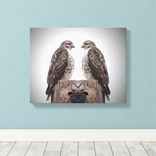 Hawks op een post canvas afdruk (Insitu (Houten vloer))