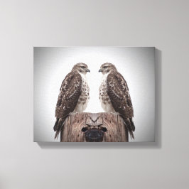 Hawks op een post canvas afdruk