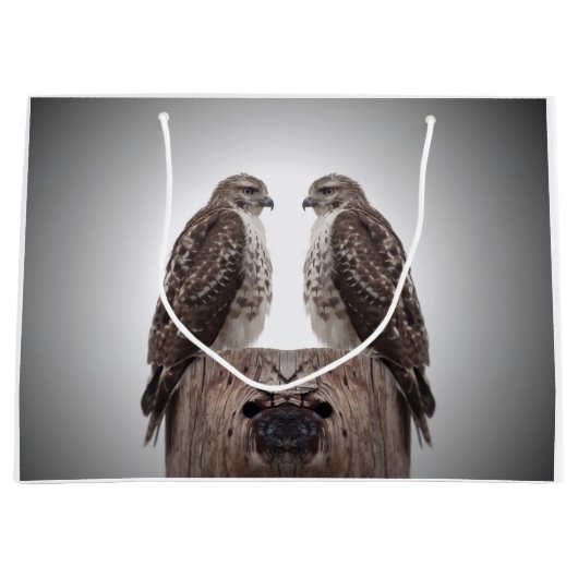Hawks op een post groot cadeauzakje (Voorkant)