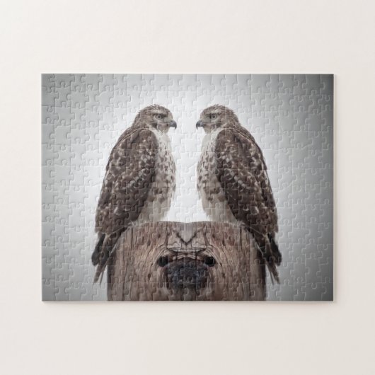 Hawks op een post legpuzzel (Horizontaal)