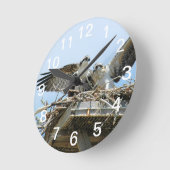Hawks Ospreys Wall Clock Ronde Klok (Hoek)