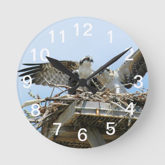 Hawks Ospreys Wall Clock Ronde Klok (Voorkant)