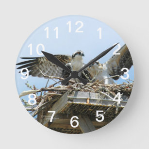 Hawks Ospreys Wall Clock Ronde Klok