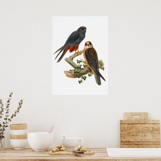  Hawks Poster (Keuken)