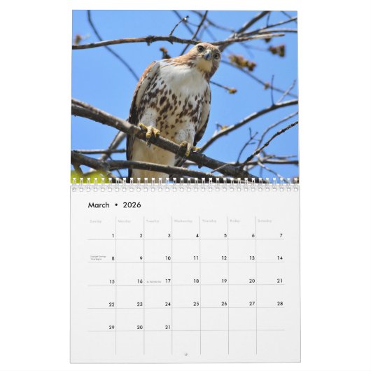 Hawks roofvogels Kalender (Mar 2026)