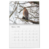 Hawks roofvogels Kalender (Feb 2026)