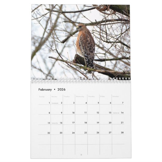 Hawks roofvogels Kalender (Feb 2026)