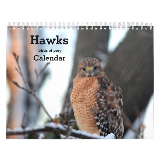 Hawks roofvogels Kalender (Hoes)