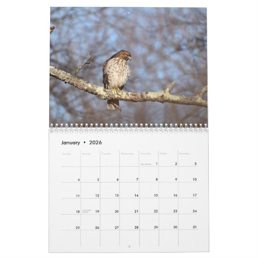 Hawks roofvogels Kalender (Jan 2026)