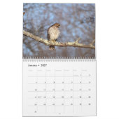 Hawks roofvogels Kalender (Jan 2027)