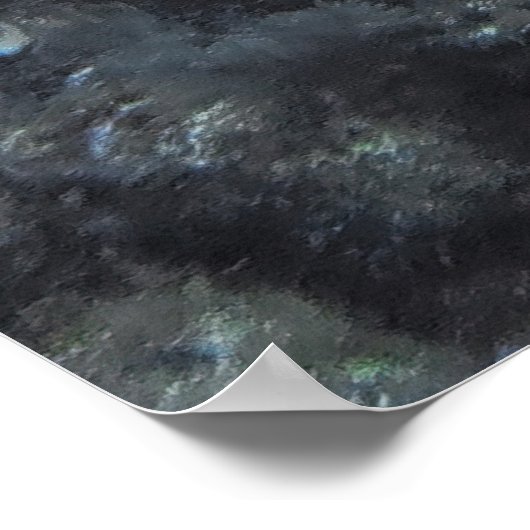 Hawksbill in Roatan Poster (Hoek)