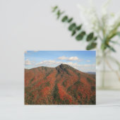Hawksbill Mountain in Herfst, Linville Gorge, NC Briefkaart (Staand voorkant)
