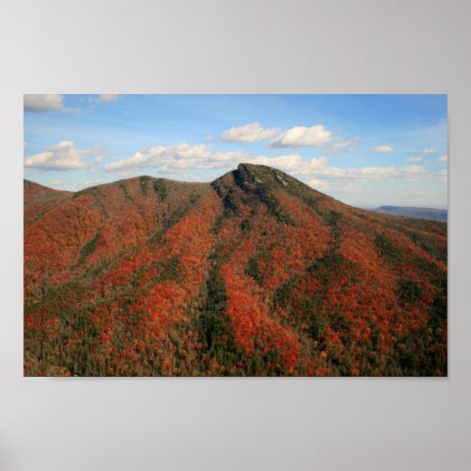Hawksbill Mountain in Herfst, North Carolina Poster (Voorkant)