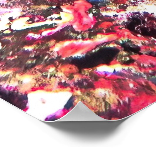 Hawksbill op de Malediven Poster (Hoek)