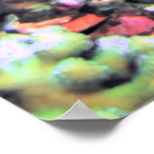 Hawksbill Portrait Poster (Hoek)