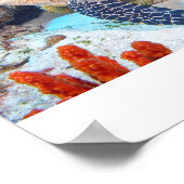 Hawksbill schildpad poster (Hoek)