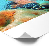 Hawksbill Turtle Poster (Hoek)