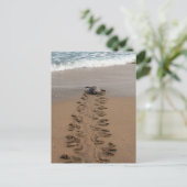 Hawksbill Turtle Trek briefkaart (Staand voorkant)