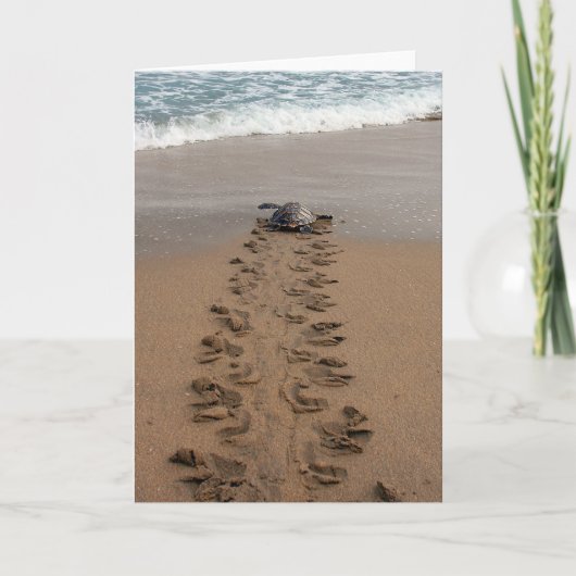 Hawksbill Turtle Trek kaart (Voorkant)