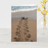 Hawksbill Turtle Trek kaart (Gele Bloem)