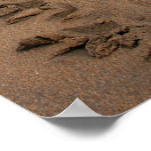 Hawksbill Turtle Trek print (Hoek)