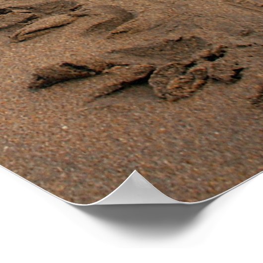 Hawksbill Turtle Trek print (Hoek)